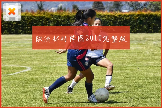 欧洲杯对阵图2010完整版